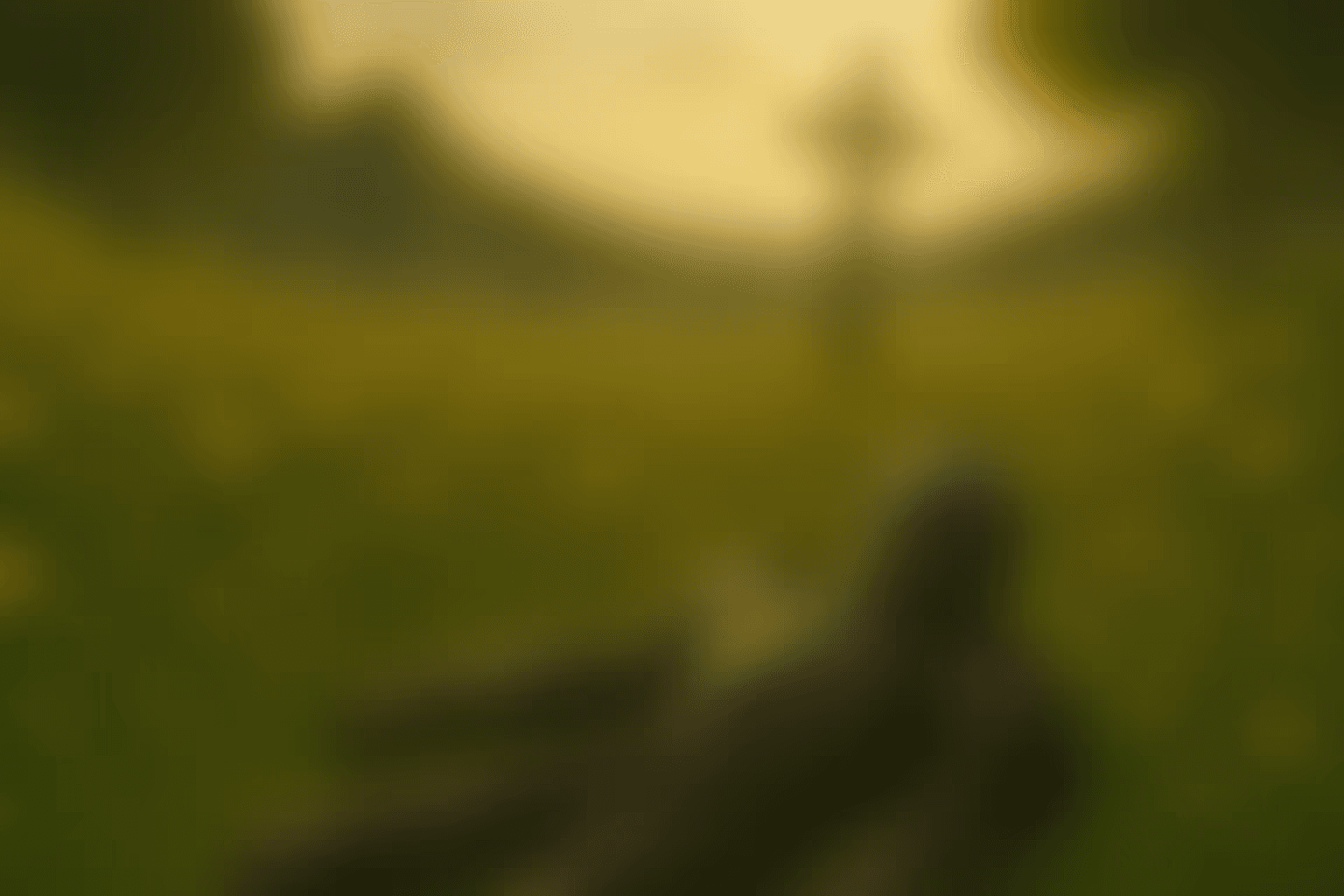 Loading background